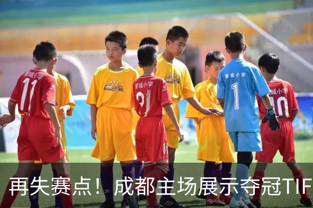 再失赛点！成都主场展示夺冠TIFO 主帅无奈目送对手破门(图)