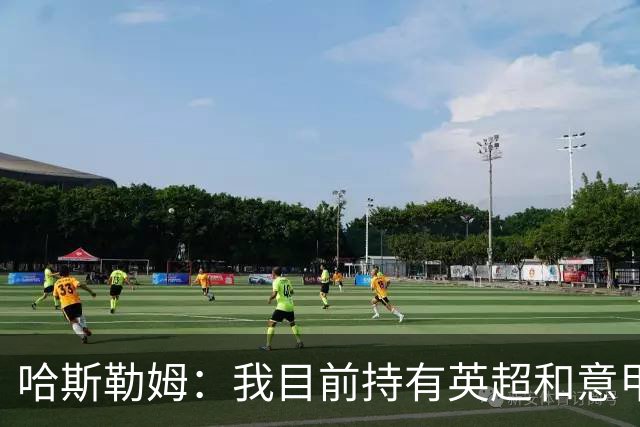 哈斯勒姆：我目前持有英超和意甲两家足球俱乐部的股份