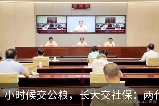 小时候交公粮，长大交社保：两代人的账，其实是一本账