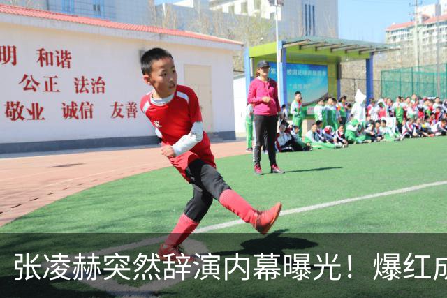 张凌赫突然辞演内幕曝光！爆红成双刃剑，档期爆满累到不行