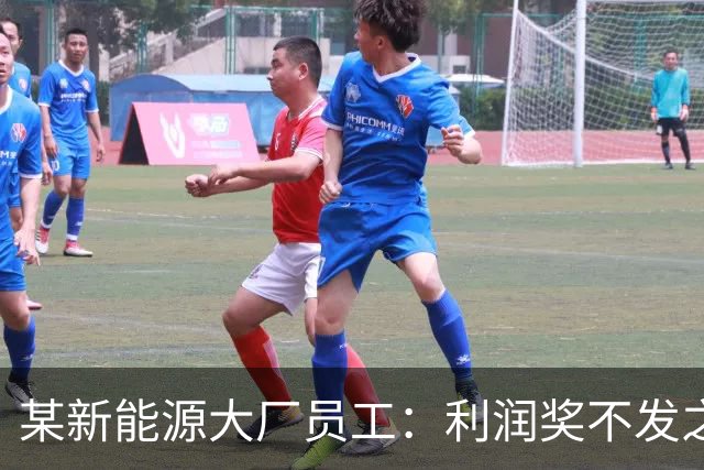 某新能源大厂员工：利润奖不发之后，确诊抑郁了