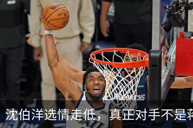 沈伯洋选情走低，真正对手不是蒋万安，也不是大陆，而是赖清德？
