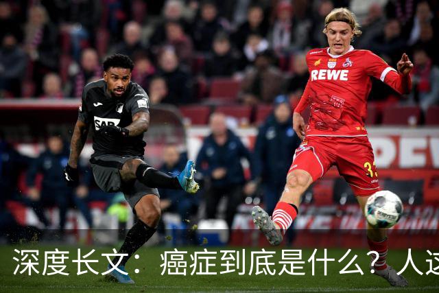 深度长文：癌症到底是什么？人这一生，为什么终究大概率会遇到癌症？