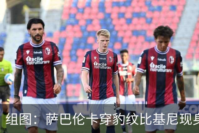 组图：萨巴伦卡穿豹纹比基尼现身海边 展示曼妙曲线