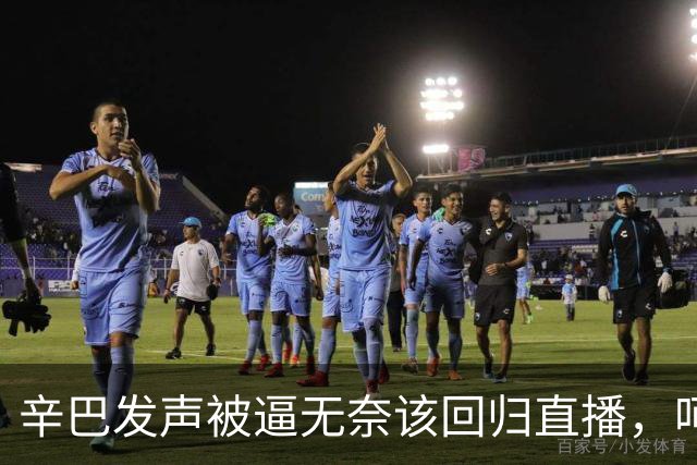 辛巴发声被逼无奈该回归直播，呵斥ks平台搞虚假繁荣