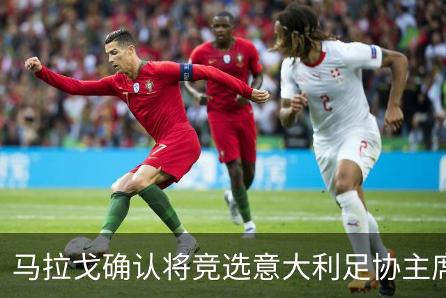 马拉戈确认将竞选意大利足协主席：需遵循程序并获得足够支持